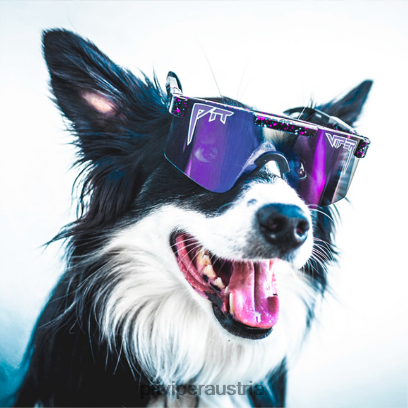 grubenotter österreich Die polarisierte Sonnenbrille des Nachtherbstes 046XX0115